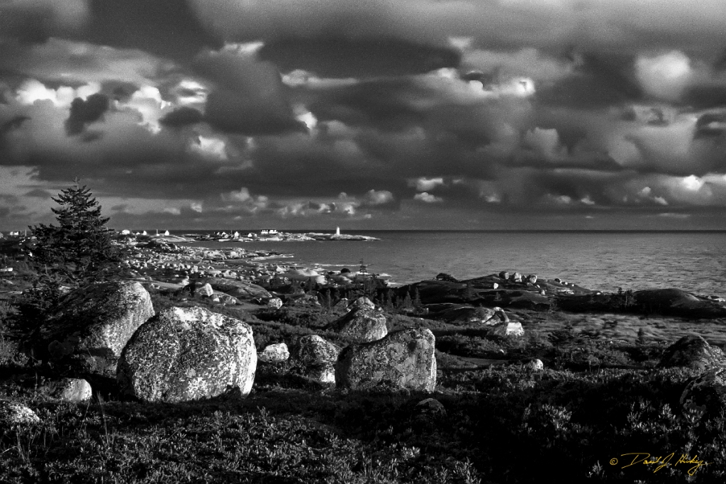 peggys cove-bw2